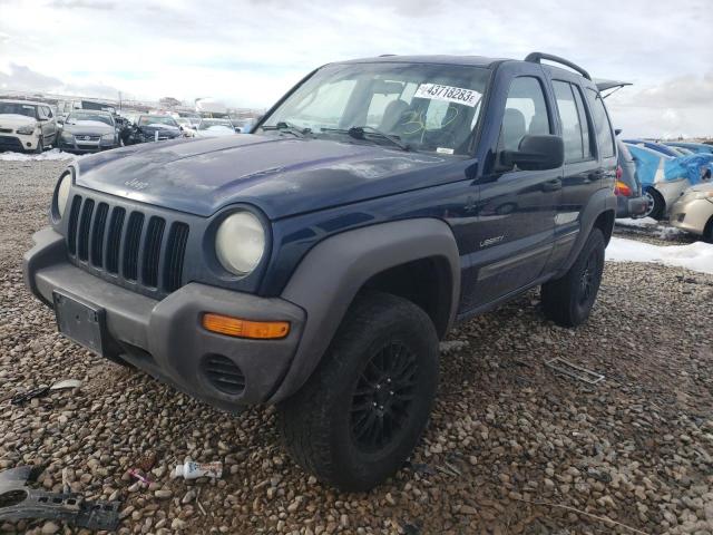 JEEP LIBERTY LI 2004 with VIN 1J4GL48K94W248618 - Photo from auction