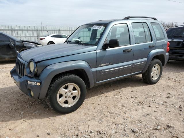 JEEP LIBERTY LI 2002 with VIN 1J4GL58K02W198274 - Photo from auction