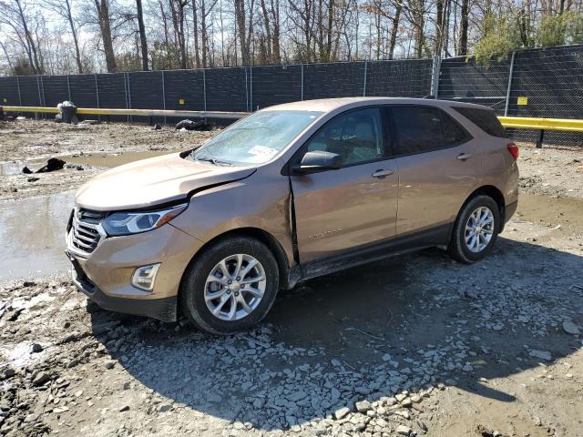 CHEVROLET EQUINOX LS 2019 with VIN 2GNAXHEV9K6287083 - Photo from auction