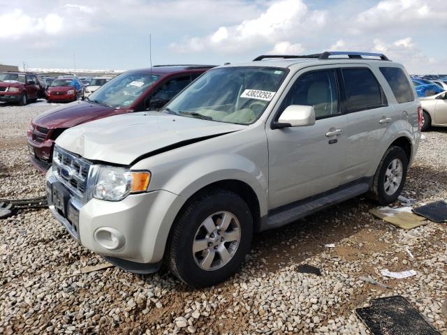 Photo 1 from auction – 2009 FORD ESCAPE LIM with VIN 1FMCU94G09KD11387