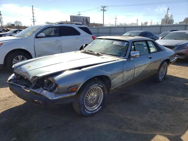 JAGUAR XJS CLASSI 1991 with VIN SAJTW5846MC179487 - Photo from auction