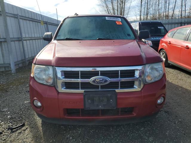 Photo 5 from auction – 2010 FORD ESCAPE with VIN 1FMCU9DG6AKD02150