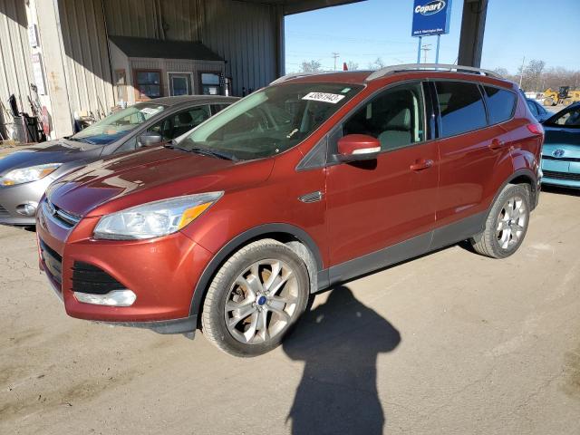 FORD ESCAPE TIT 2016 with VIN 1FMCU0JX8GUA64217 - Photo from auction