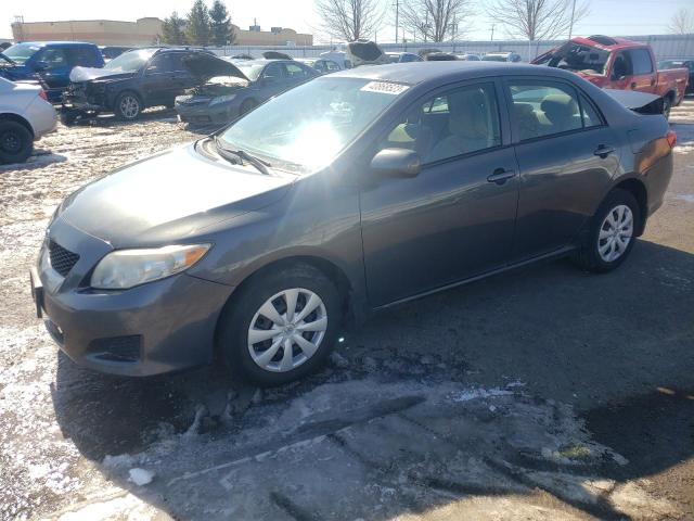 TOYOTA COROLLA BA 2010 with VIN 2T1BU4EE9AC239935 - Photo from auction