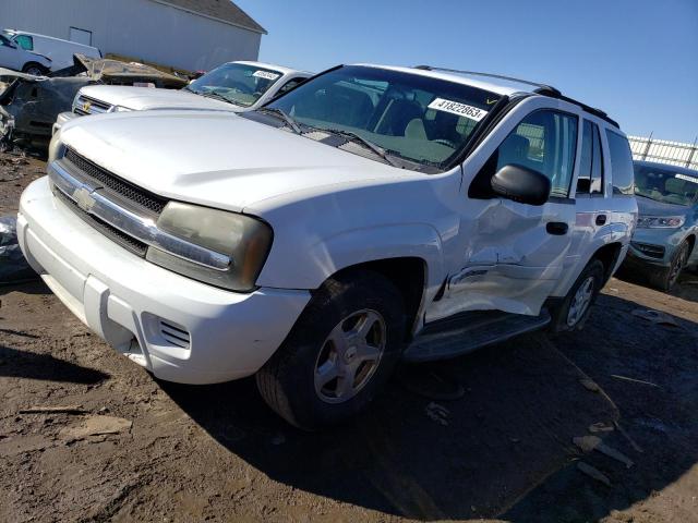 CHEVROLET TRAILBLAZE 2002 with VIN 1GNDT13S822431096 - Photo from auction