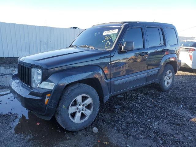 JEEP LIBERTY SP 2009 with VIN 1J8GP28K79W546597 - Photo from auction