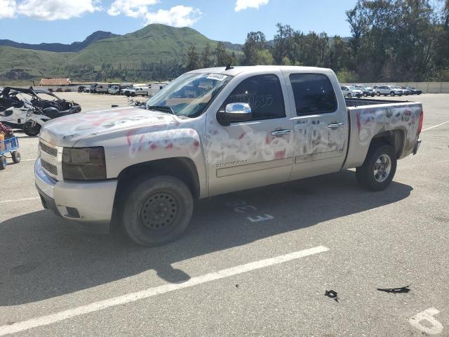 CHEVROLET SILVERADO 2008 with VIN 3GCEC13C68G134172 - Photo from auction
