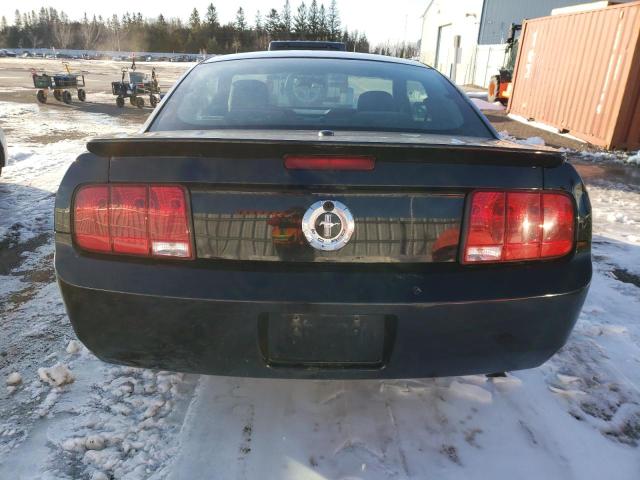 Photo 6 from auction – 2007 FORD MUSTANG with VIN 1ZVFT80N875309608