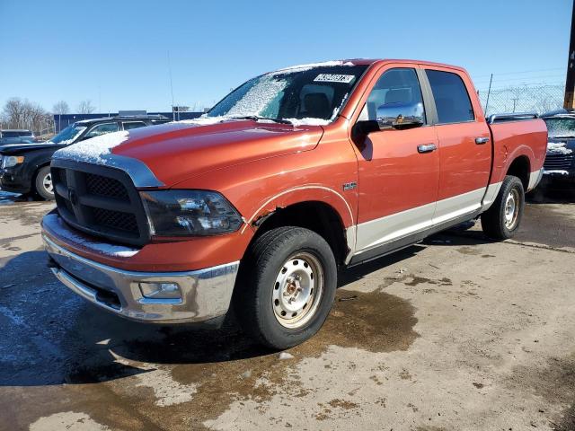 DODGE RAM 1500 2009 with VIN 1D3HV13T49S785342 - Photo from auction