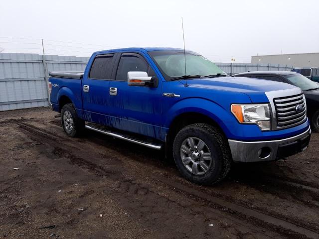 Photo 4 from auction – 2010 FORD F150 SUPER with VIN 1FTFW1EV0AFC30008