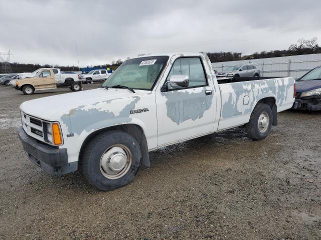 DODGE DAKOTA 1989 with VIN 1B7GL26X3KS076924 - Photo from auction