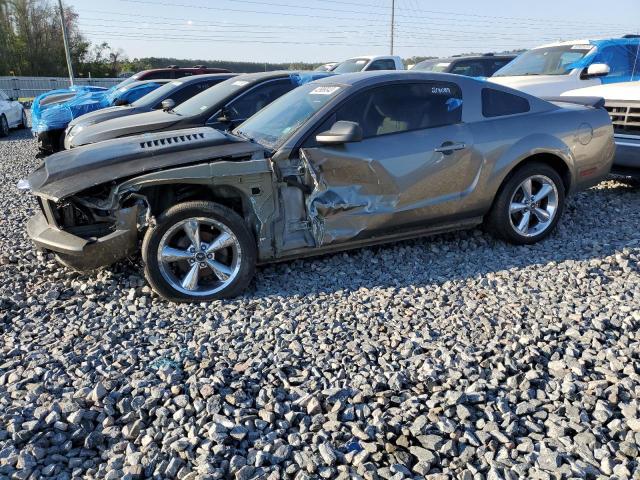 Photo 1 from auction – 2005 FORD MUSTANG with VIN 1ZVFT80N155225501