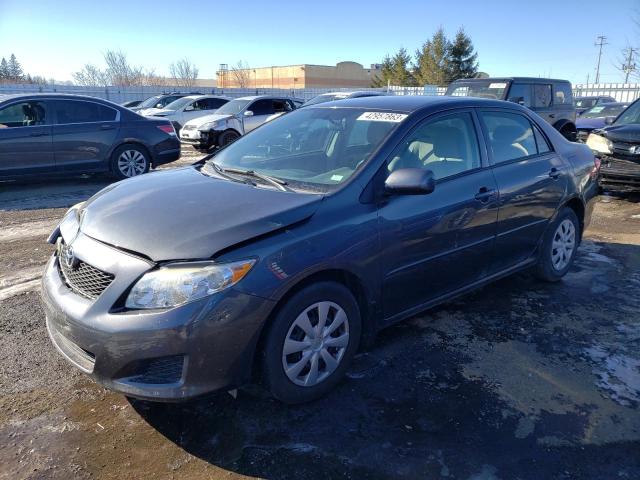 TOYOTA COROLLA BA 2010 with VIN 2T1BU4EE3AC256116 - Photo from auction