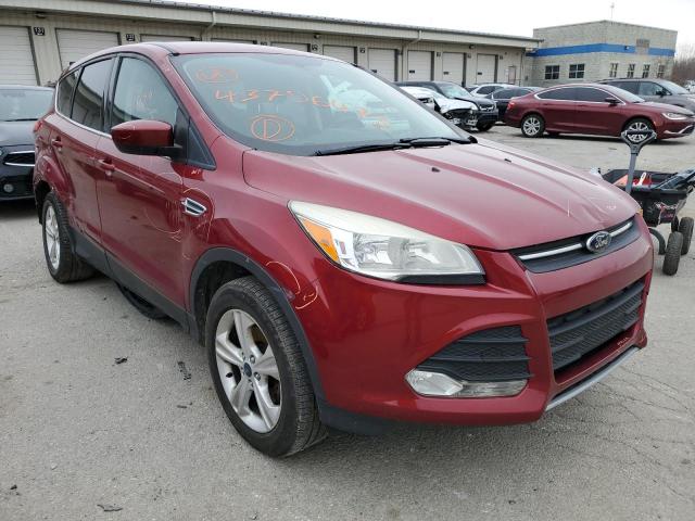 Photo 4 from auction – 2014 FORD ESCAPE SE with VIN 1FMCU0GX6EUB59105
