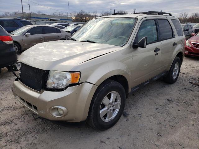 FORD ESCAPE XLT 2011 with VIN 1FMCU0D7XBKB19217 - Photo from auction