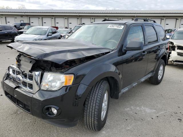 FORD ESCAPE XLT 2010 with VIN 1FMCU0DG4AKA08807 - Photo from auction