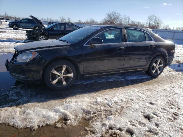 CHEVROLET MALIBU 1LT 2011 with VIN 1G1ZC5EU3BF396828 - Photo from auction