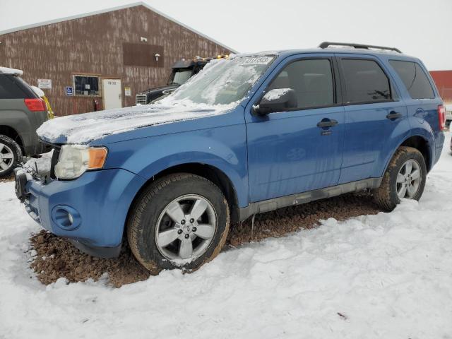 Photo 1 from auction – 2009 FORD ESCAPE XLT with VIN 1FMCU93G39KC03234