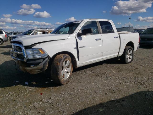 DODGE RAM 1500 2010 with VIN 1D7RB1CT4AS213736 - Photo from auction