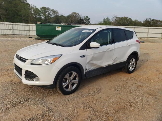 FORD ESCAPE SE 2014 with VIN 1FMCU0GX0EUB02429 - Photo from auction