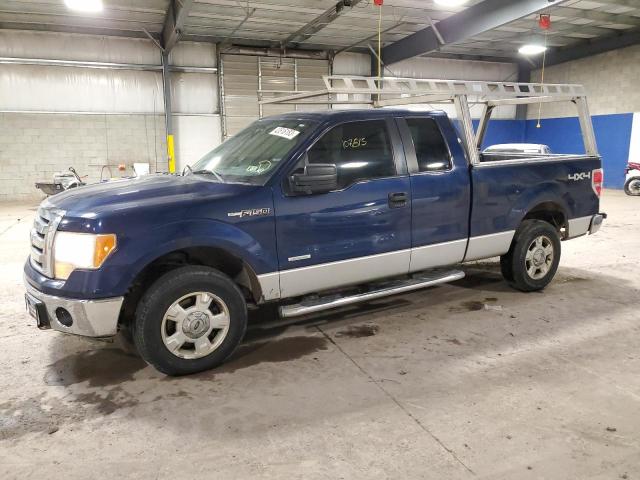 FORD F150 SUPER 2012 with VIN 1FTFX1ET5CFA33303 - Photo from auction