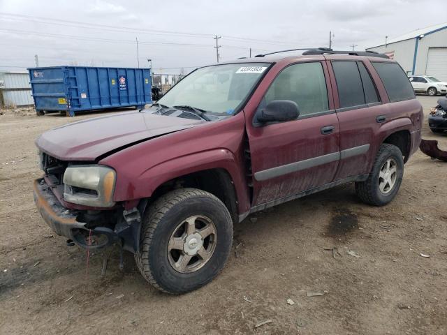 CHEVROLET TRAILBLAZE 2005 with VIN 1GNDT13S952184174 - Photo from auction