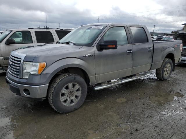 Photo 1 from auction – 2010 FORD F150 SUPER with VIN 1FTFW1EV8AFD21298