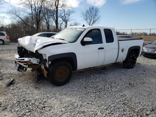 CHEVROLET SILVERADO 2009 with VIN 1GCEK19C29Z151949 - Photo from auction