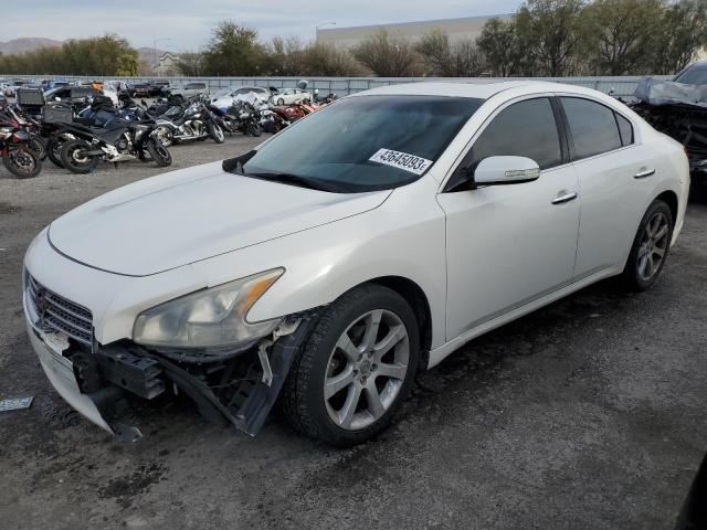 NISSAN MAXIMA S 2009 with VIN 1N4AA51E29C816590 - Photo from auction