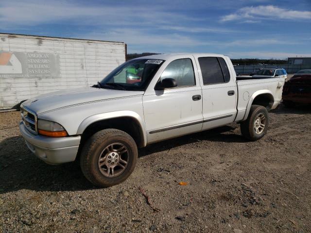 DODGE DAKOTA QUA 2004 with VIN 1D7HG48N04S601172 - Photo from auction
