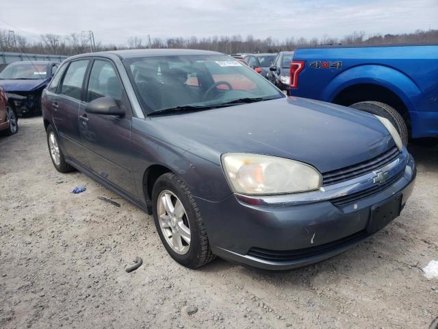 Photo 4 from auction – 2005 CHEVROLET MALIBU MAX with VIN 1G1ZT62845F298571