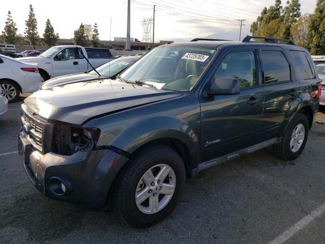 FORD ESCAPE HYB 2009 with VIN 1FMCU49309KA28464 - Photo from auction
