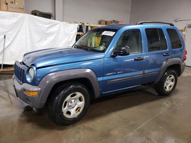 JEEP LIBERTY SP 2003 with VIN 1J4GL48K63W700605 - Photo from auction