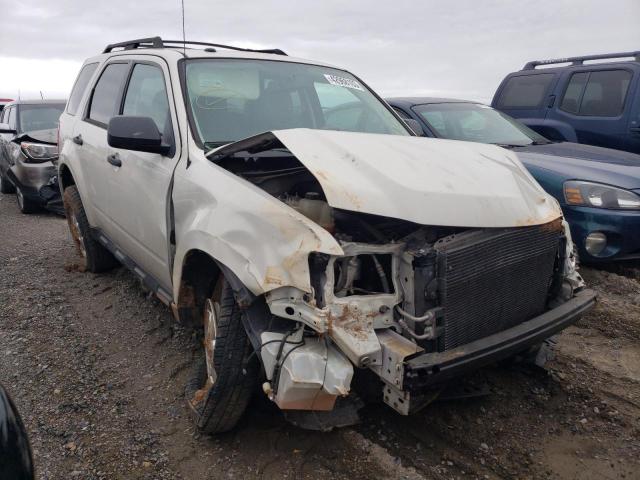 Photo 4 from auction – 2010 FORD ESCAPE XLT with VIN 1FMCU0D77AKB63318