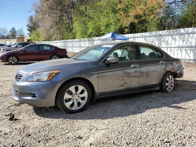 HONDA ACCORD EXL 2010 with VIN 1HGCP3F82AA024367 - Photo from auction