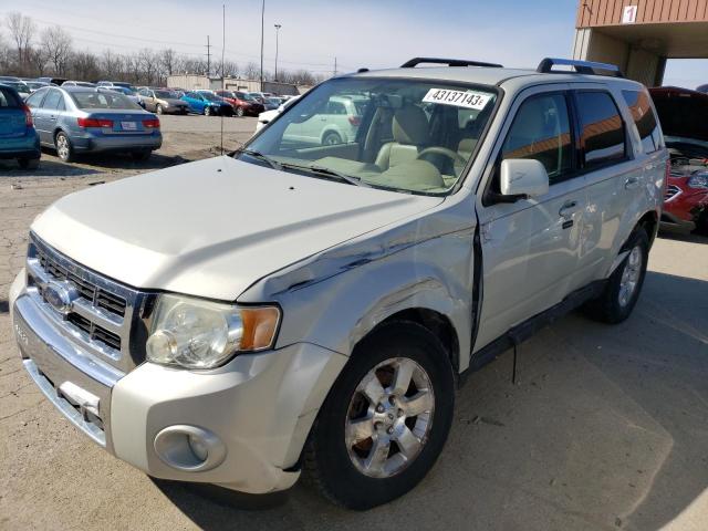 FORD ESCAPE LIM 2009 with VIN 1FMCU04G29KA18263 - Photo from auction