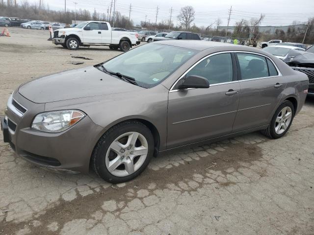 CHEVROLET MALIBU LS 2012 with VIN 1G1ZB5E09CF206029 - Photo from auction