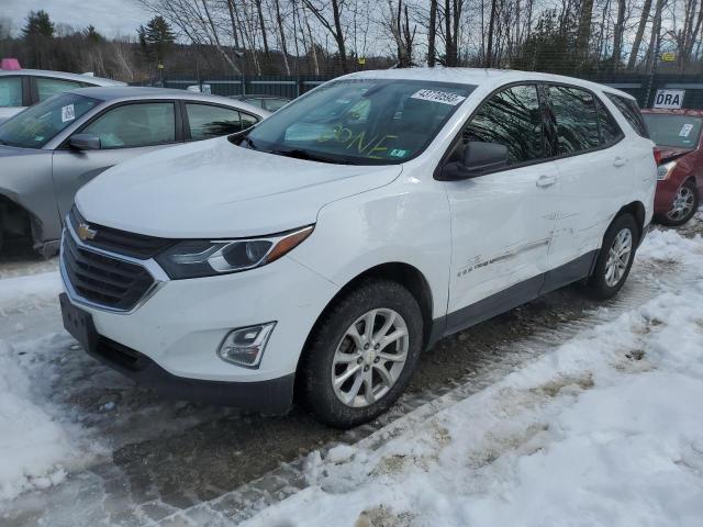 CHEVROLET EQUINOX LS 2018 with VIN 2GNAXREV7J6147361 - Photo from auction