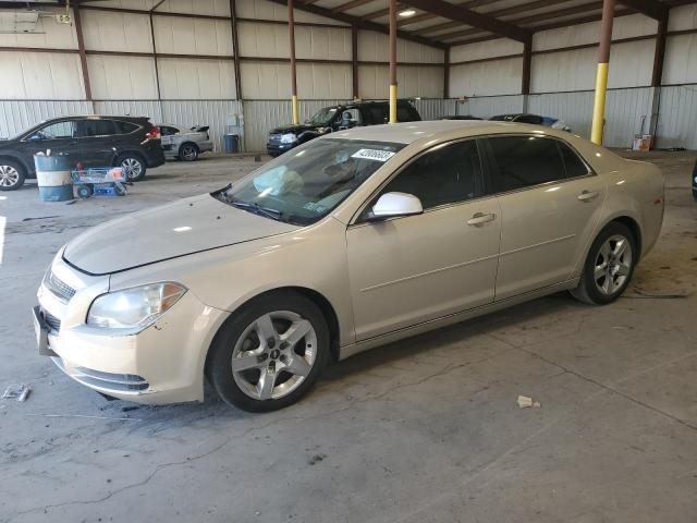 CHEVROLET MALIBU 1LT 2010 with VIN 1G1ZC5EB0AF181758 - Photo from auction