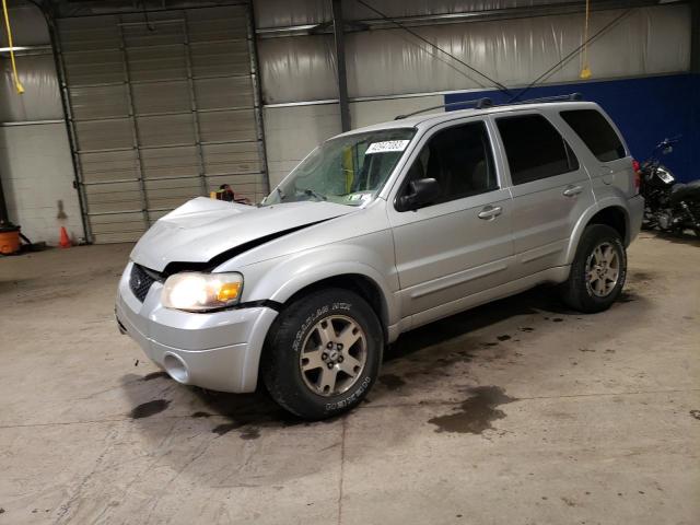FORD ESCAPE LIM 2005 with VIN 1FMYU04145KA49610 - Photo from auction