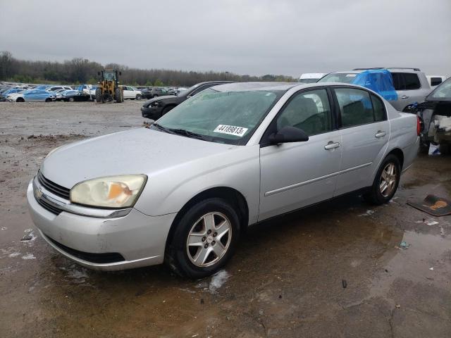 CHEVROLET MALIBU LS 2004 with VIN 1G1ZT52874F162234 - Photo from auction