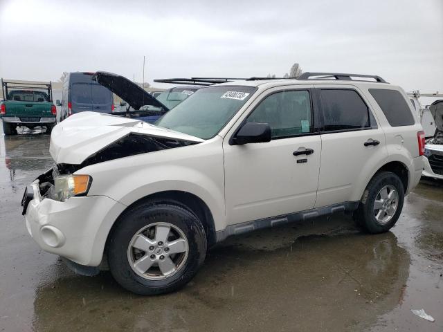 FORD ESCAPE XLT 2010 with VIN 1FMCU0DGXAKD06603 - Photo from auction