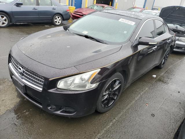 NISSAN MAXIMA S 2010 with VIN 1N4AA5AP1AC806204 - Photo from auction