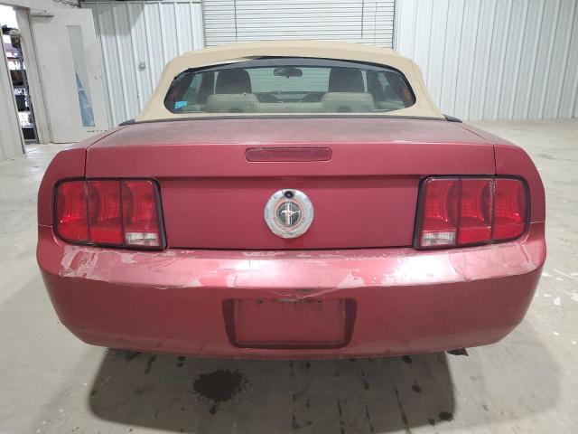 Photo 6 from auction – 2005 FORD MUSTANG with VIN 1ZVFT84N155206473