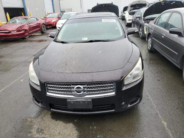 Photo 5 from auction – 2010 NISSAN MAXIMA S with VIN 1N4AA5AP1AC806204