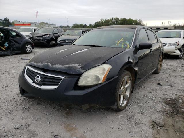 NISSAN MAXIMA SE 2008 with VIN 1N4BA41E78C835553 - Photo from auction