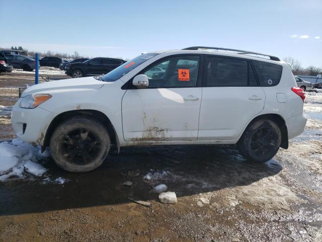 TOYOTA RAV4 2012 with VIN 2T3BF4DV6CW203592 - Photo from auction
