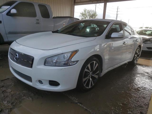 Photo 1 from auction – 2009 NISSAN MAXIMA S with VIN 1N4AA51E19C850827