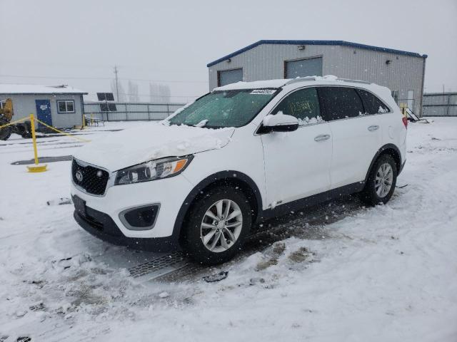 KIA SORENTO LX 2016 with VIN 5XYPGDA56GG083983 - Photo from auction