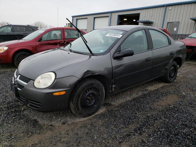 DODGE NEON BASE 2004 with VIN 1B3ES26C44D548385 - Photo from auction